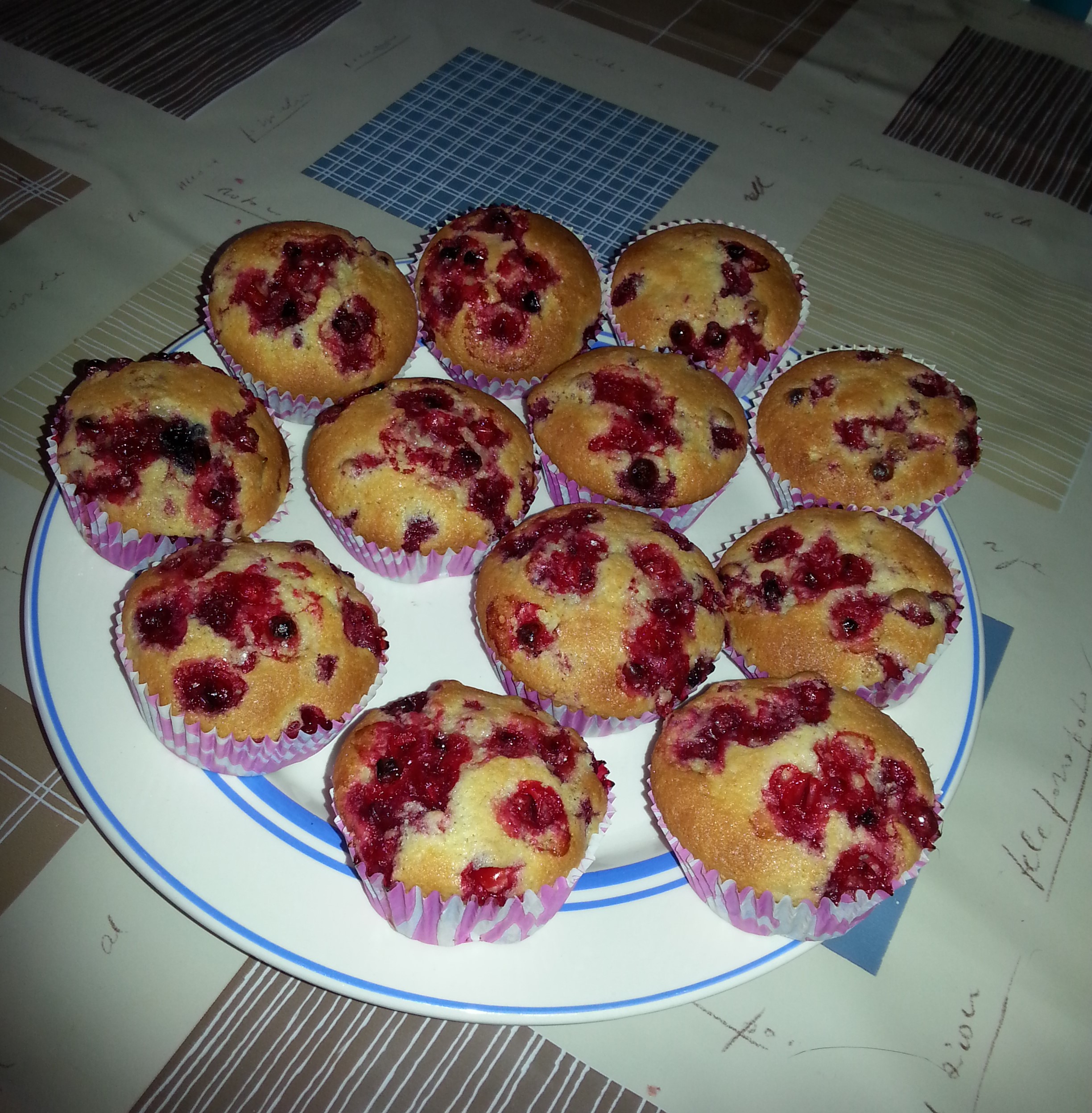 https://www.kinuskikissa.fi/wp-content/uploads/kinuskit/20150301_092236-2.jpg