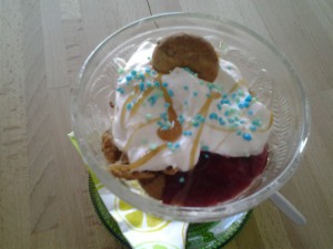 pappilan hätävara 003