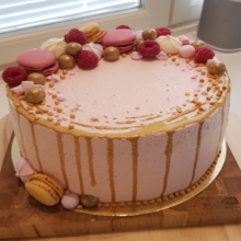 https://www.kinuskikissa.fi/wp-content/uploads/kinuskit/thumbs/18123_20190811_133837_220x220.png