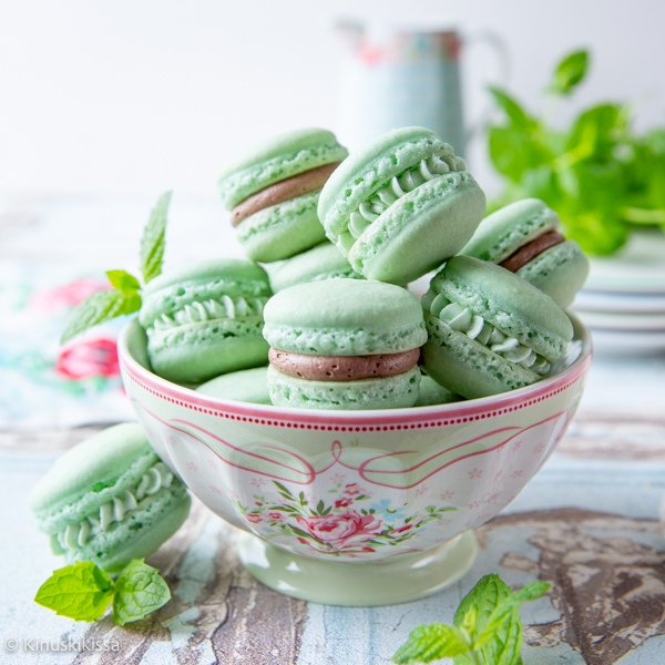 https://www.kinuskikissa.fi/wp-content/uploads/kinuskit/thumbs/2_minttu-macaron-2-resepti_400x400.jpg