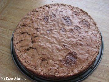 https://www.kinuskikissa.fi/wp-content/uploads/sini/2010/03/brownies_pohja.jpg