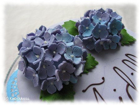 https://www.kinuskikissa.fi/wp-content/uploads/sini/2011/05/hortensia.jpg