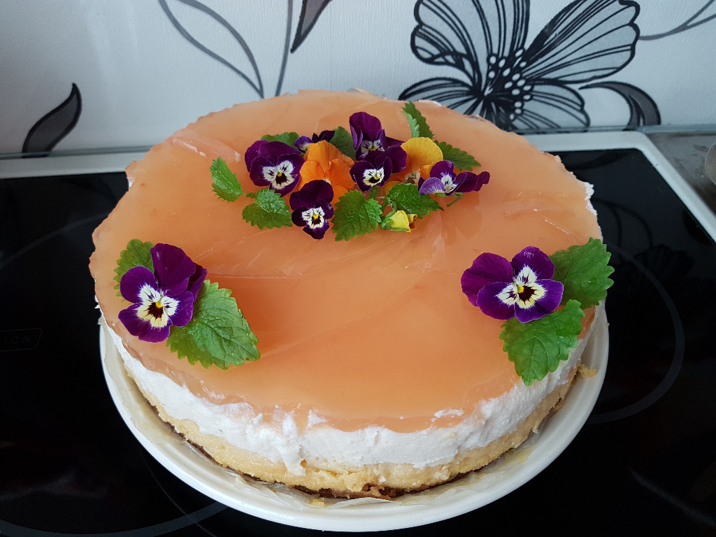 https://www.kinuskikissa.fi/wp-content/uploads/sini/20200510_081518-2.jpg