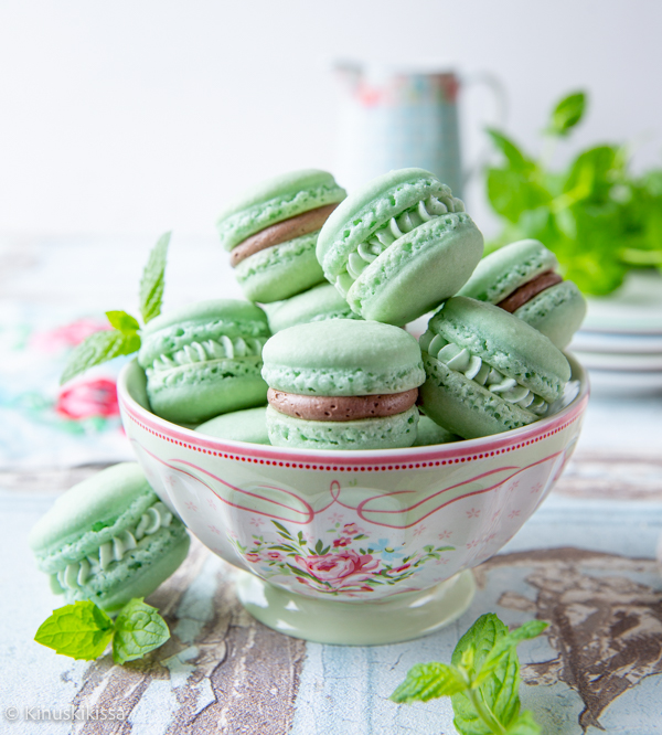 https://www.kinuskikissa.fi/wp-content/uploads/sini/2022/08/minttu-macaron-3.jpg