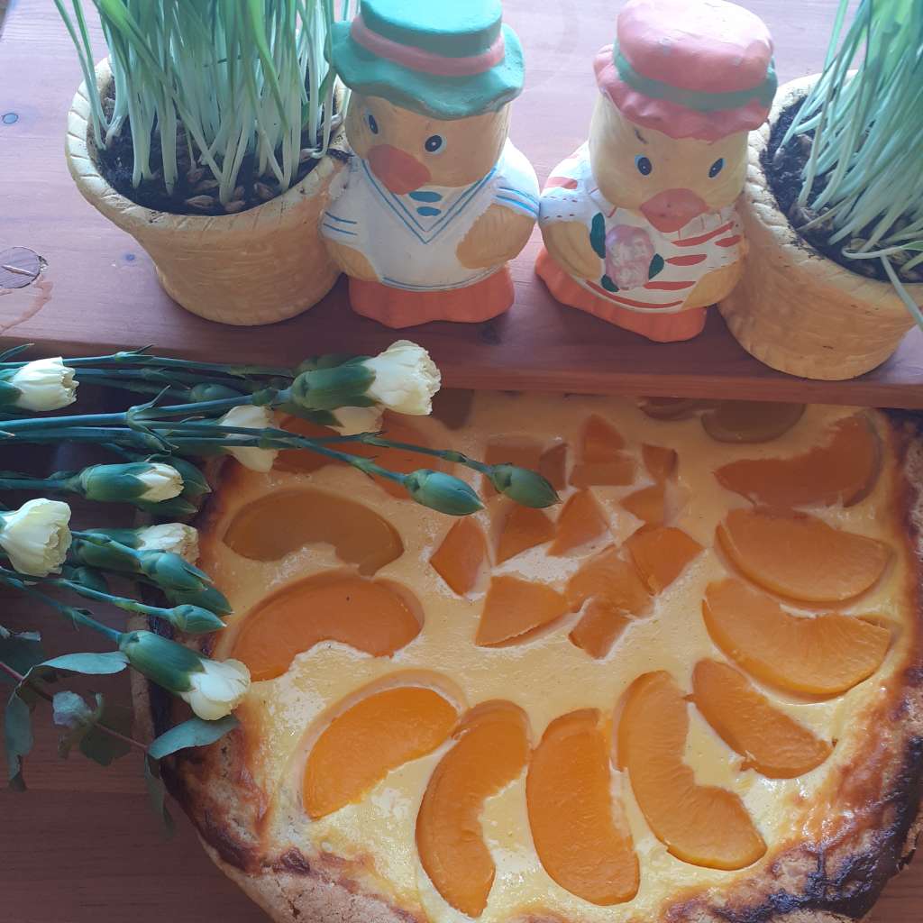https://www.kinuskikissa.fi/wp-content/uploads/sini/20220418_142411.jpg