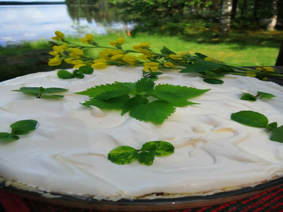 https://www.kinuskikissa.fi/wp-content/uploads/sini/IMG_20190620_160454.jpg
