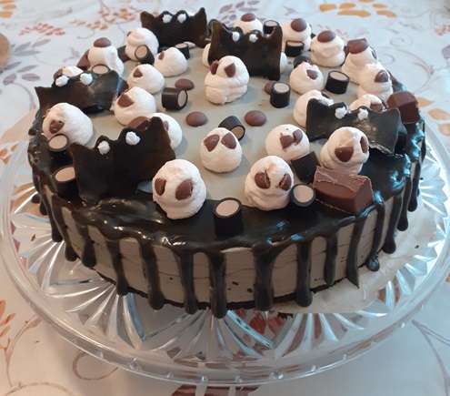 https://www.kinuskikissa.fi/wp-content/uploads/sini/Sivulta.jpg